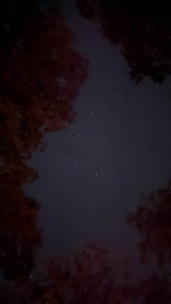 PXL_20241012_011044833.NIGHT.jpg