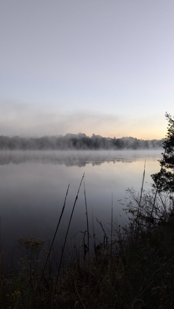 PXL_20241013_111057907.jpg