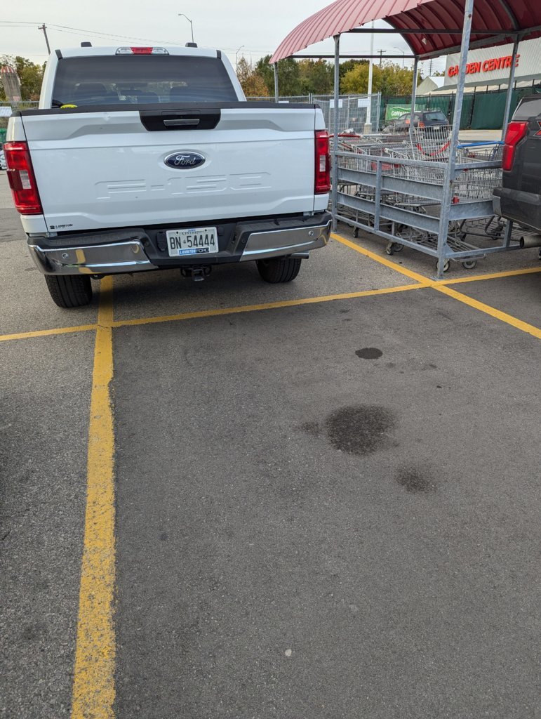 PXL_20241015_214423350.jpg