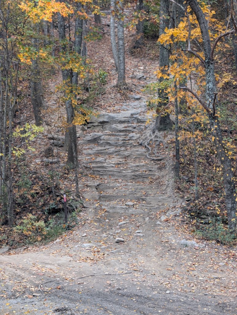 PXL_20241026_194214324.jpg