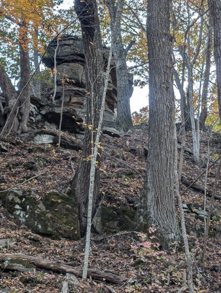 PXL_20241026_204917783.jpg