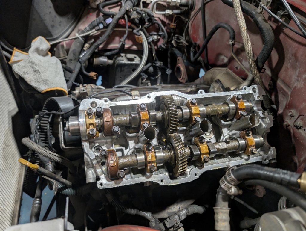 PXL_20241228_031321242.RAW-01.COVER.jpg