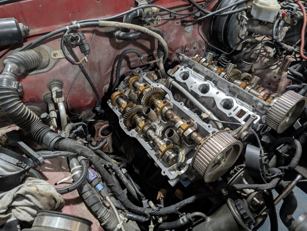 PXL_20241230_012409079.RAW-01.COVER.jpg