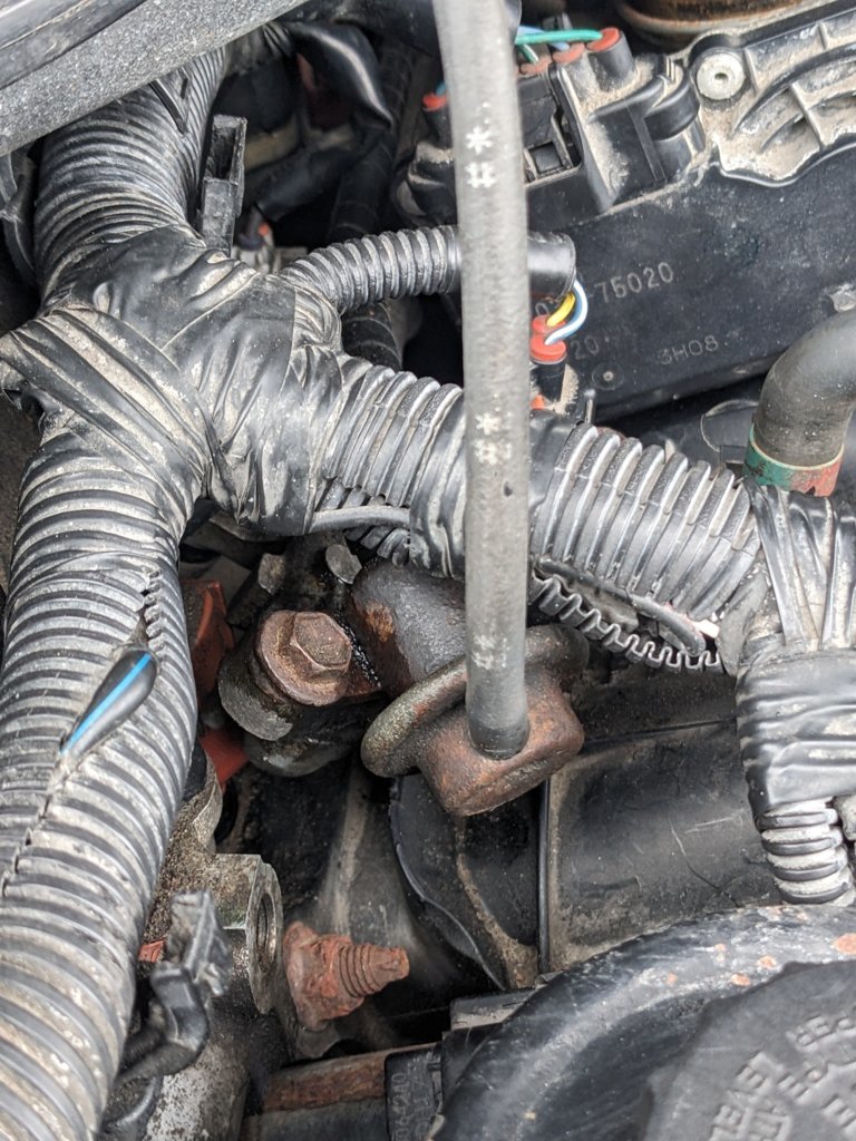 PXL_20250117_143500156.jpg