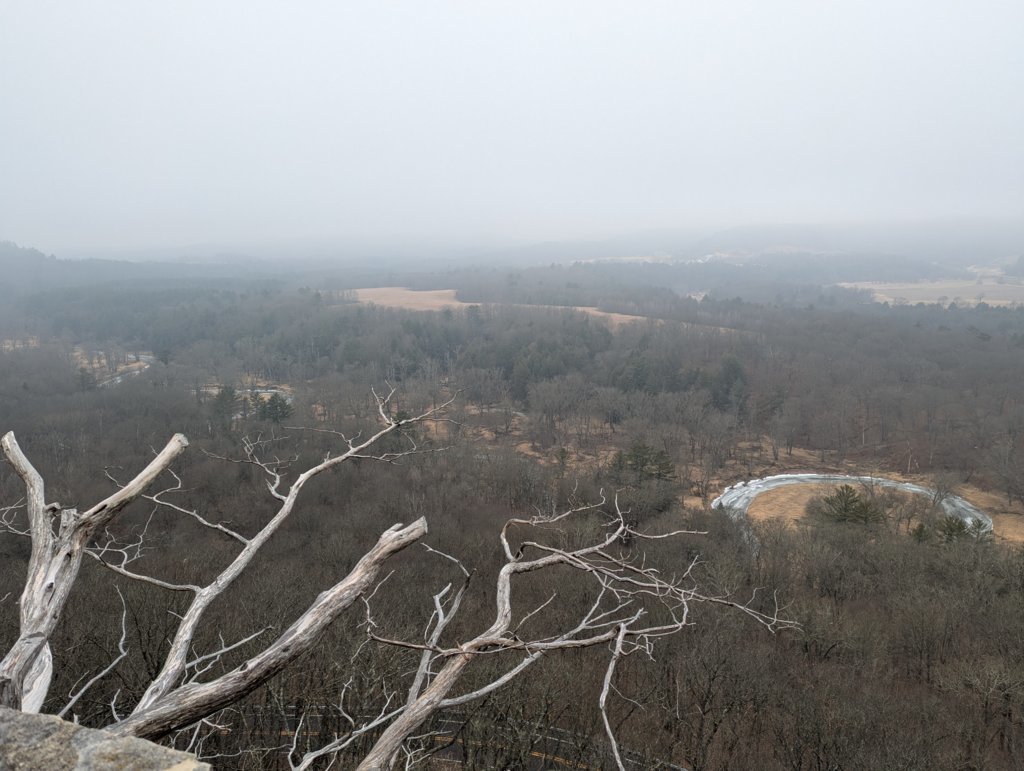 PXL_20250202_151854288.jpg