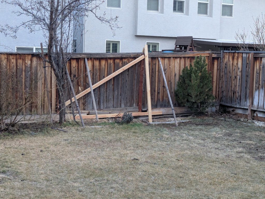 PXL_20250203_003119801.jpg