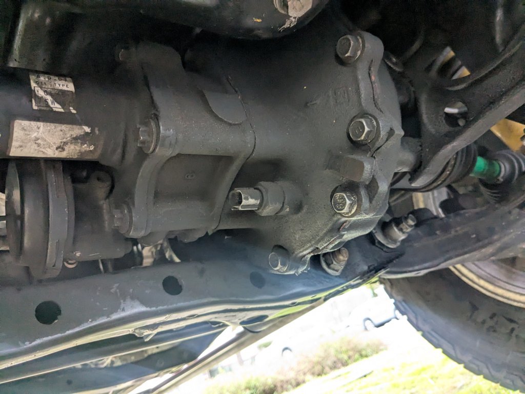 PXL_20250224_004926253.jpg