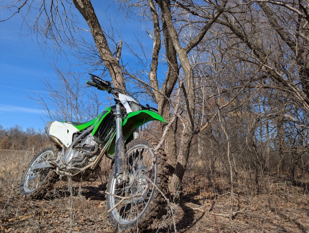 PXL_20250301_204158338.MP.jpg