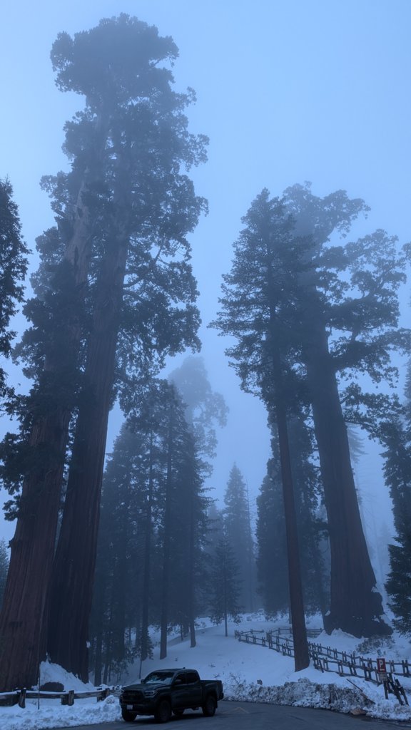 PXL_20250319_020914075.MP.jpg