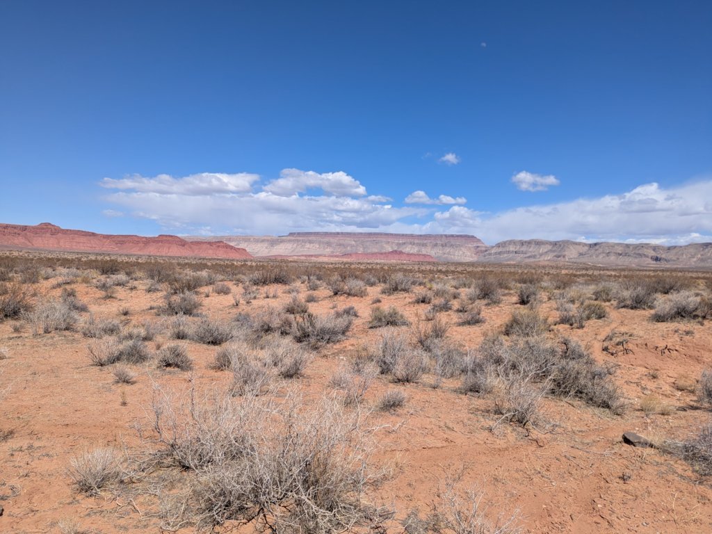 PXL_20250405_212331111.jpg