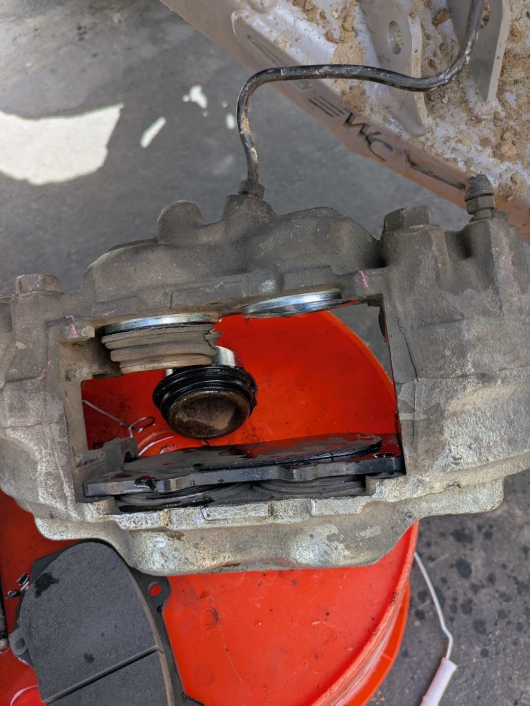 PXL_20250410_194417172.jpg