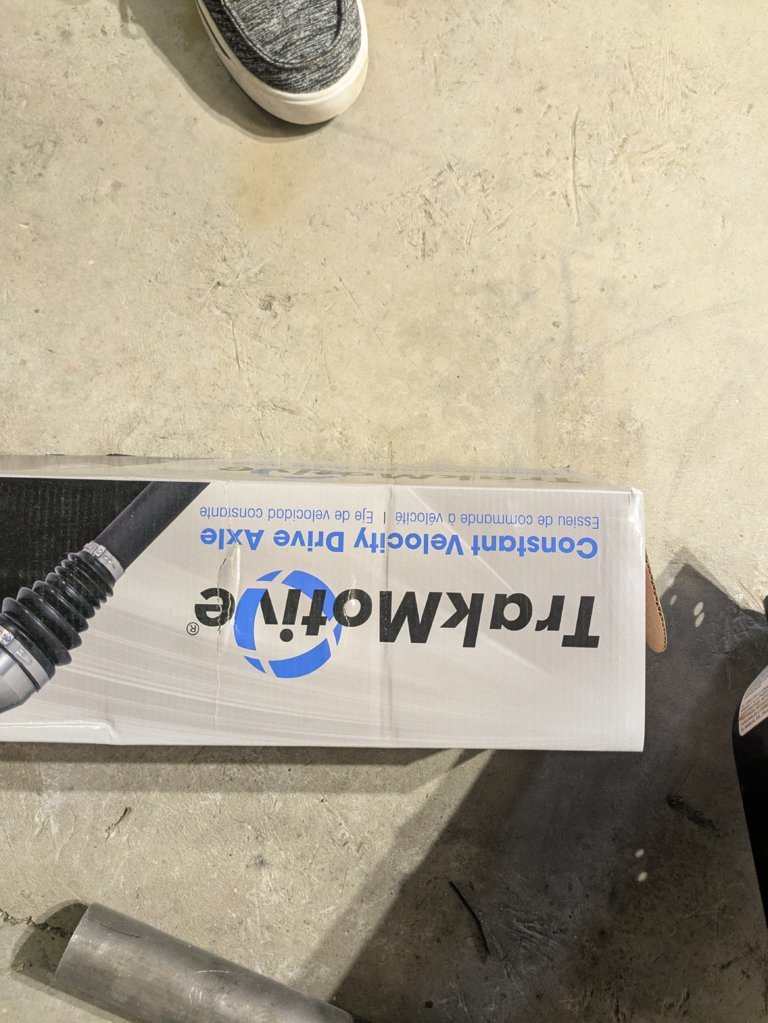PXL_20250412_170759438.jpg