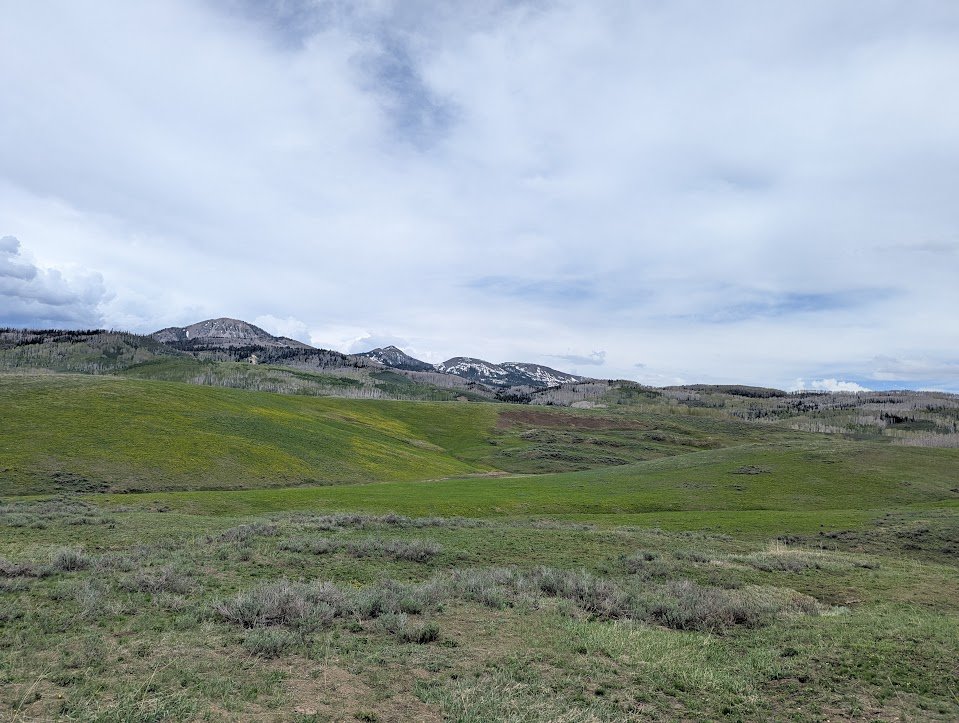 PXL_20250524_210213298.MP.jpg