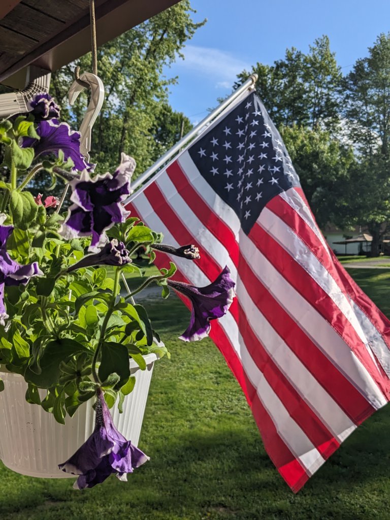 PXL_20250524_214602065.MP.jpg