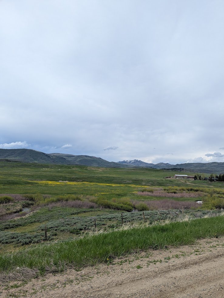 PXL_20250524_220346518.MP.jpg