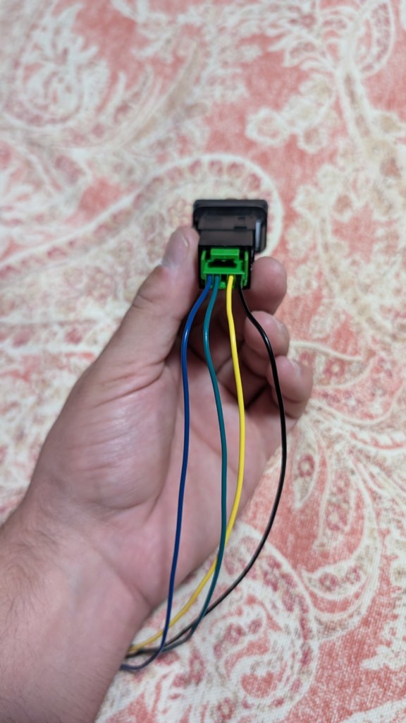PXL_20250530_182011479.jpg