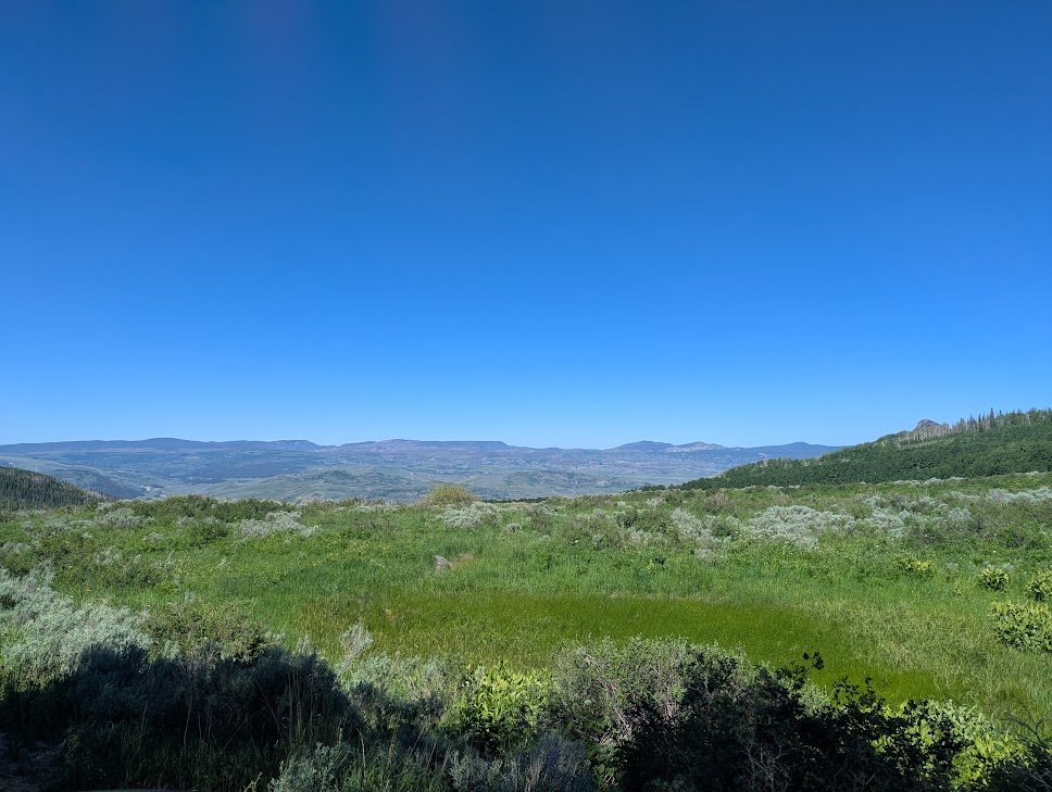 PXL_20250621_161327234.MP.jpg