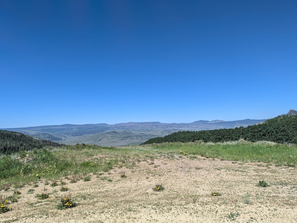PXL_20250621_161355710.MP.jpg