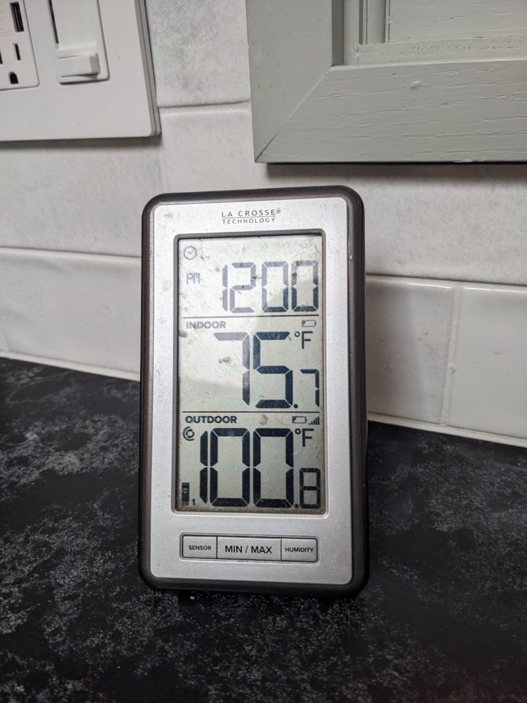 PXL_20250624_160214734.jpg