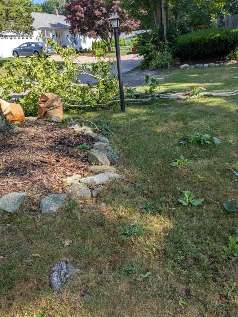 PXL_20250704_130350923.jpg