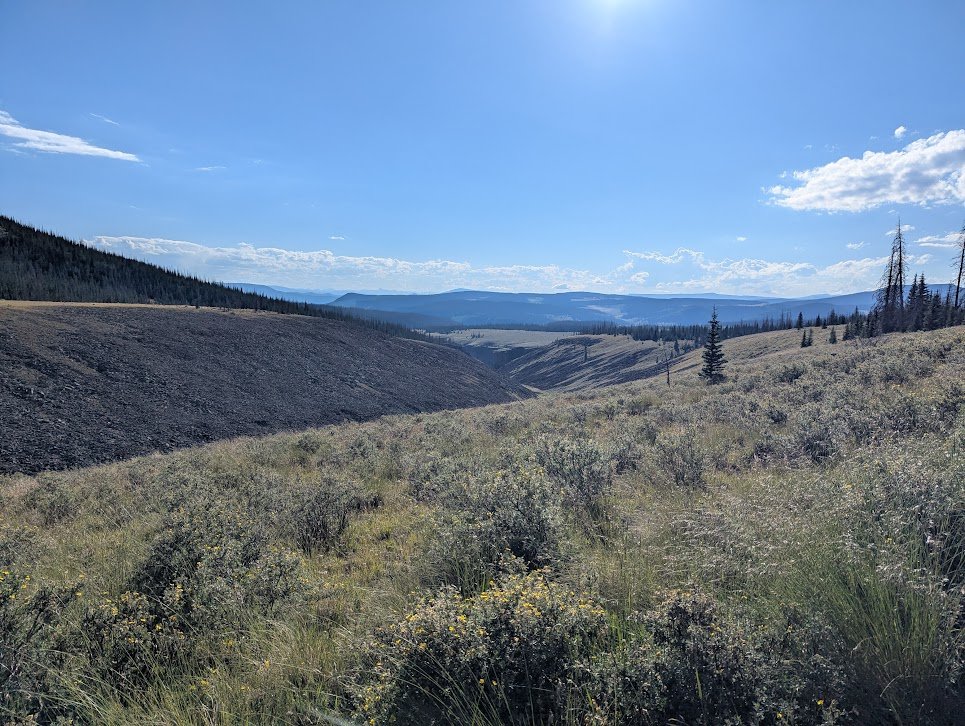 PXL_20250801_235547739.jpg