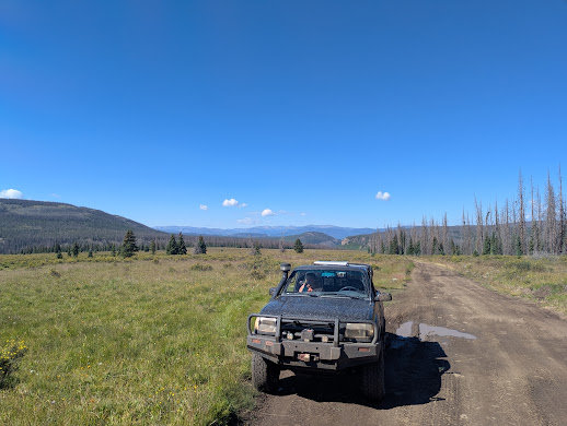 PXL_20250802_160652333.MP.jpg