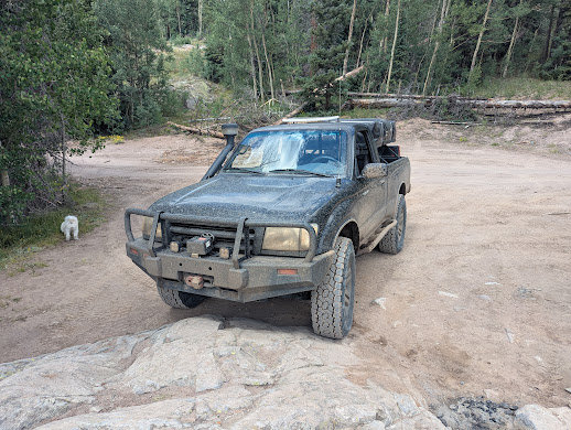 PXL_20250802_204935961.jpg