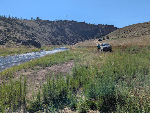 PXL_20250803_162254942.MP.jpg