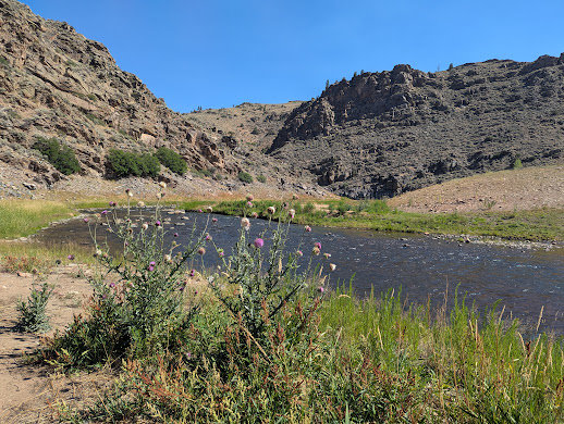 PXL_20250803_162257306.MP.jpg