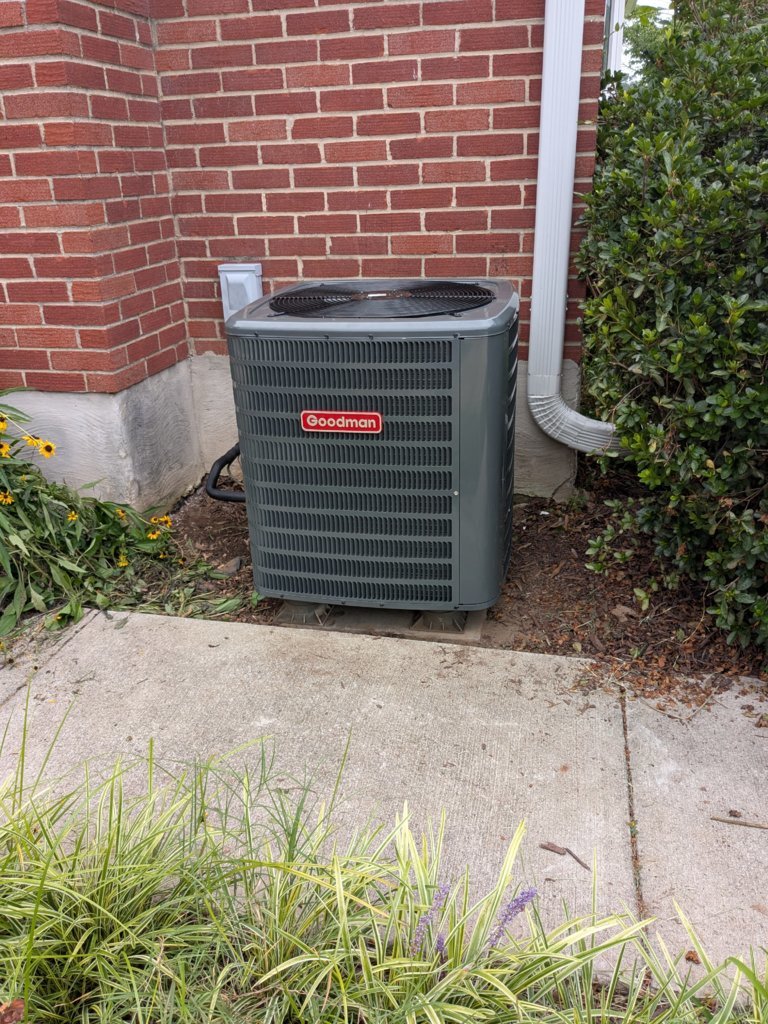 PXL_20250805_121007625.jpg