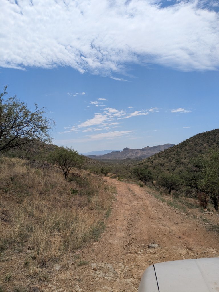 PXL_20250810_193155776.jpg