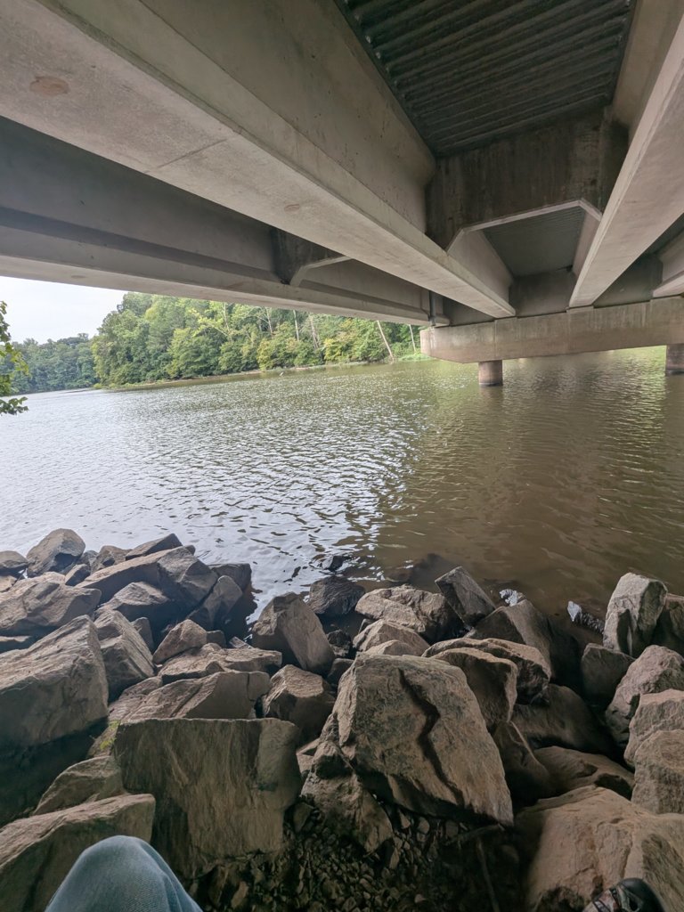 PXL_20250821_192655357.MP.jpg
