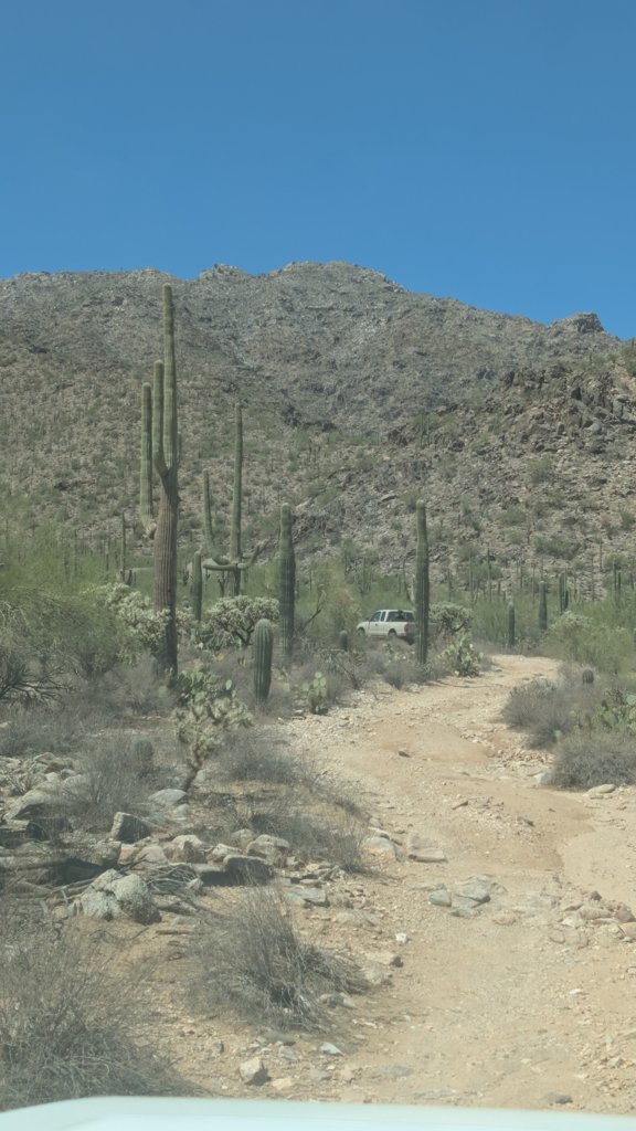 PXL_20250830_185621968.jpg