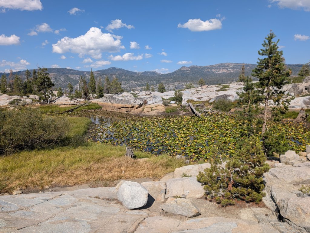 PXL_20250906_220231323.RAW-01.COVER.jpg