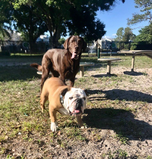 Q and Baloo.jpg