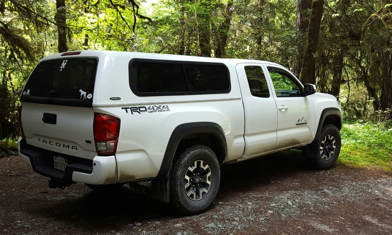 Qtr Rear.jpg