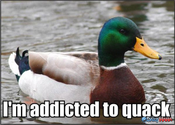 quack.jpg