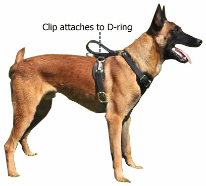 Quick_Release_Harness.jpg