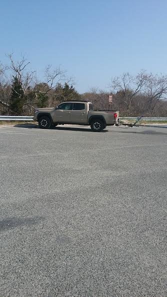 quicksand.jpg