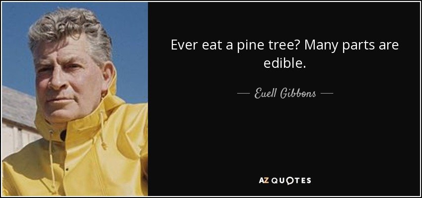 quote-ever-eat-a-pine-tree-many-parts-are-edible-euell-gibbons-92-41-19.jpg