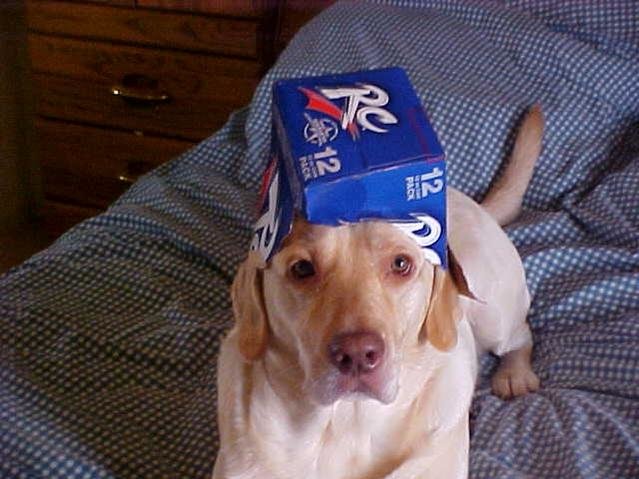 R.C. HEAD!!.jpg