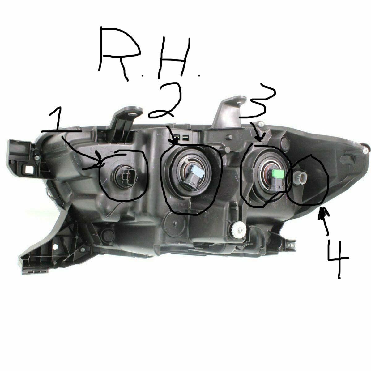 R.H.Light.jpg