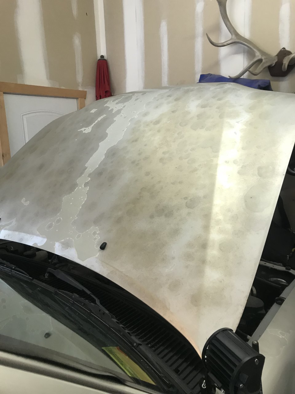 Clear coat damage includes a wide range of problems. See and learn!