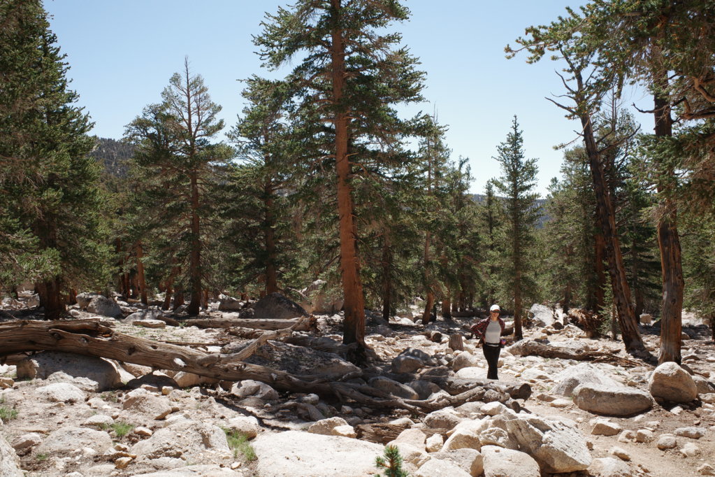 R0000194.jpg