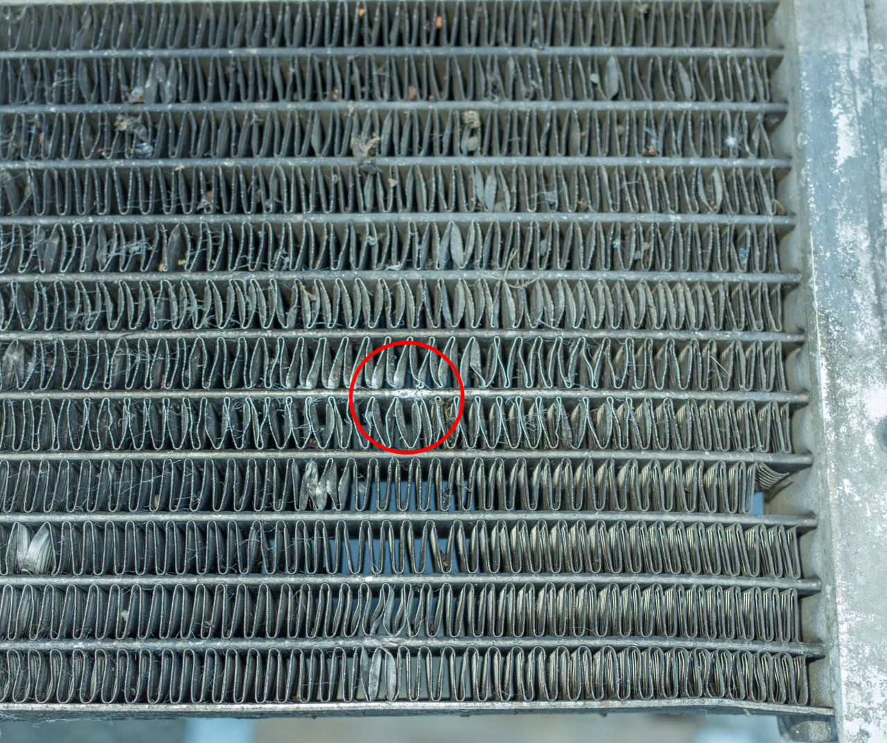 R0004853.jpg