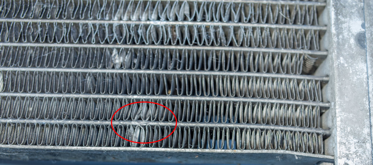 R0004854.jpg