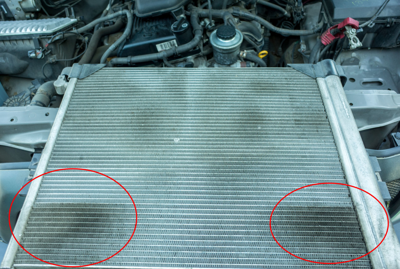 R0004855.jpg