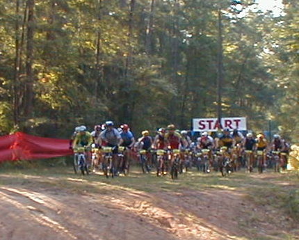 race1.jpg