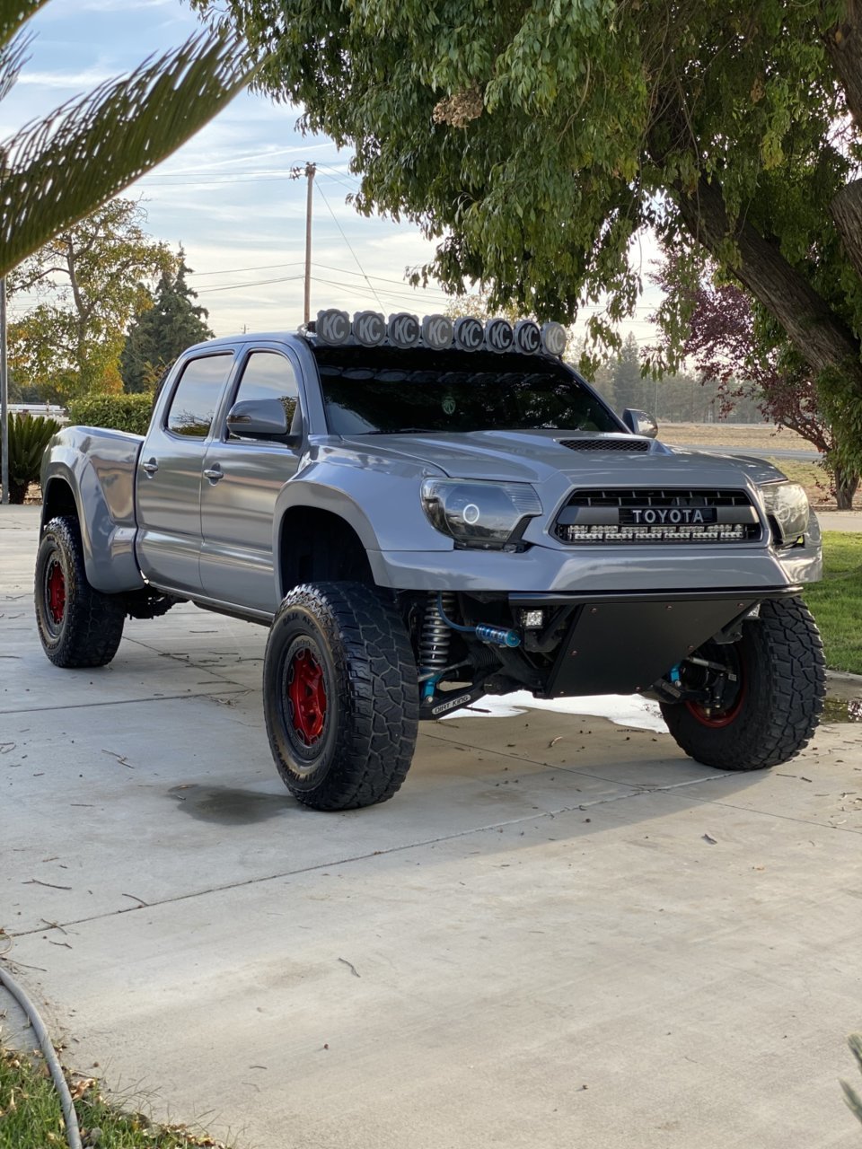 racemytaco.jpg