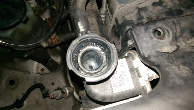 rad_gasket.jpg